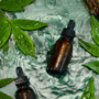 oli vegetali cosmetici oli cosmetici vegetali naturali