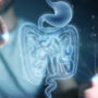 shutterstock_1737839864 intestino 3D