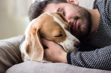 uomo dorme col cane