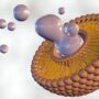 3d,Rendering,Of,Compromised,Liposome,Releasing,Its,Contents.,Magnified,Image liposomi in cosmetica