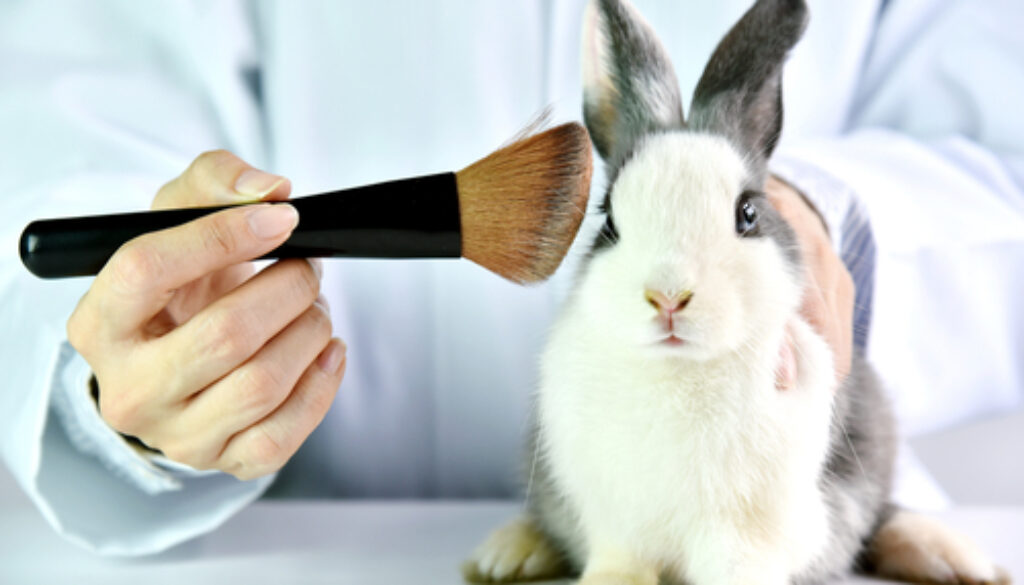 test su animali