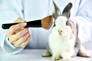 test su animali