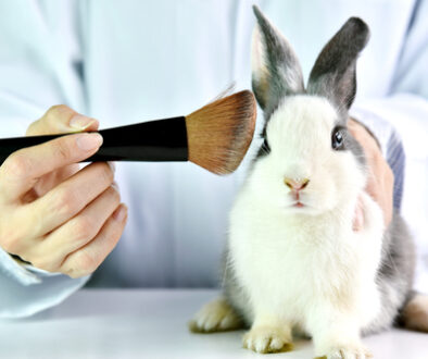 test su animali