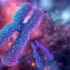 epigenetica