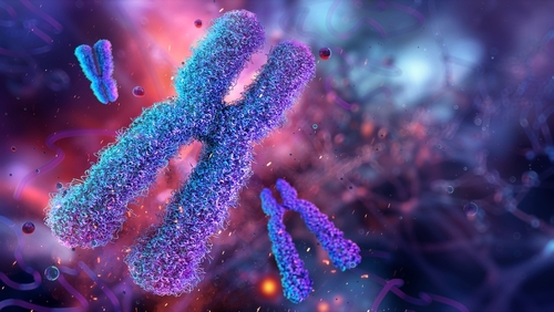 epigenetica