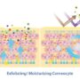 Comparison,Of,Exfoliating,And,Moisturizing,Corneocyte,Vector,Illustration.,The,Mechanism barriera cutanea
