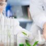 A,Banner,Of,Eco,Cosmetic,,Natural,Product,And,Organic,Botany cosmetici naturali